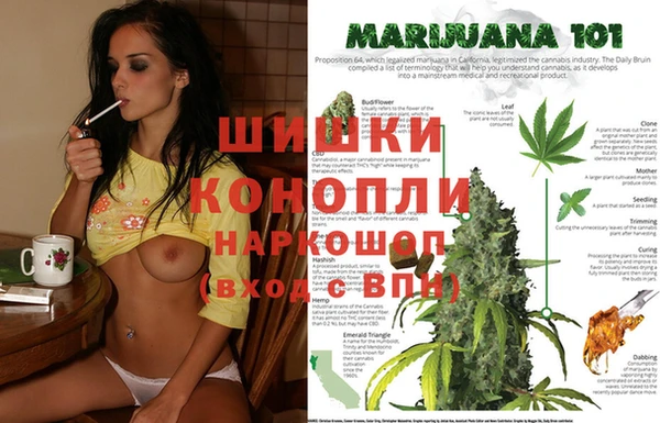 тгк Беломорск