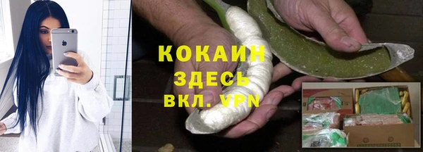 дмт Белокуриха