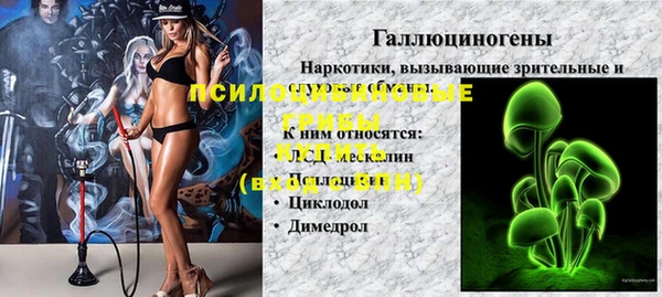 тгк Беломорск