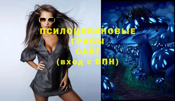 дмт Белокуриха