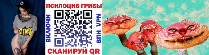 Купить где  Родники  Галлюциногенные грибы Magic Shrooms 